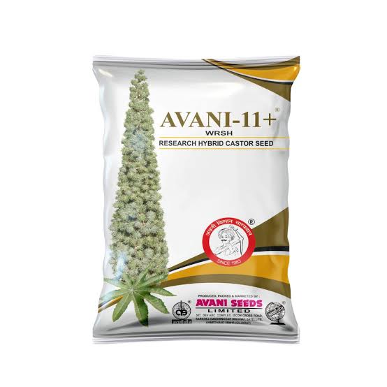 એરંડા બીજ